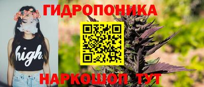 сатива Баксан
