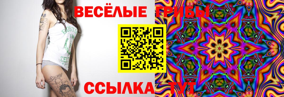 Гай  Псилоцибиновые грибы прущие грибы  Вход с VPN 